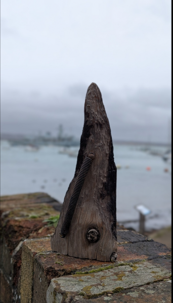 Too-Much-of-a-Good-Spring