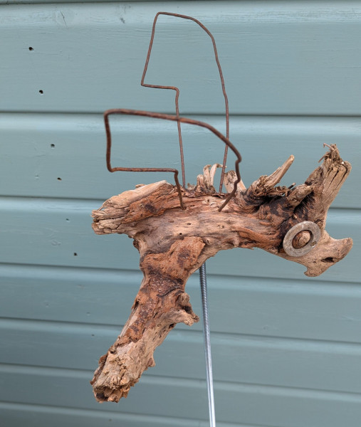 Dragon-Fly