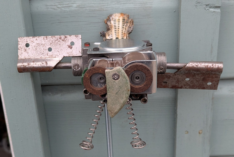 Well-Cocker-My-Shuttle