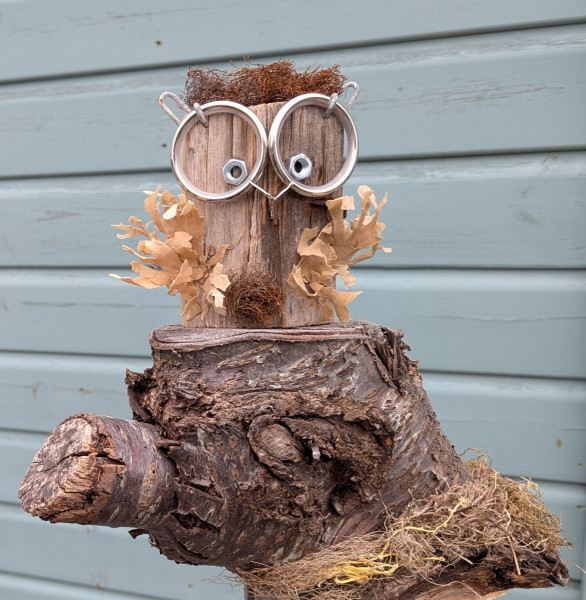 Whooo's-Looking-at-You